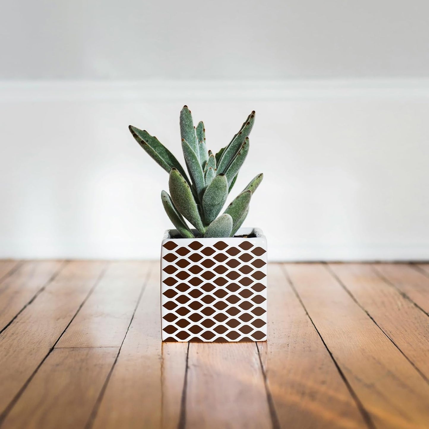 Ant Smart Adhesive Permanent Vinyl Compatible with Cricut Explore and Maker Series Without Cutting Mats, Create DIY Projects, Decals, Stickers & More (Brown, 13inch x 5ft)