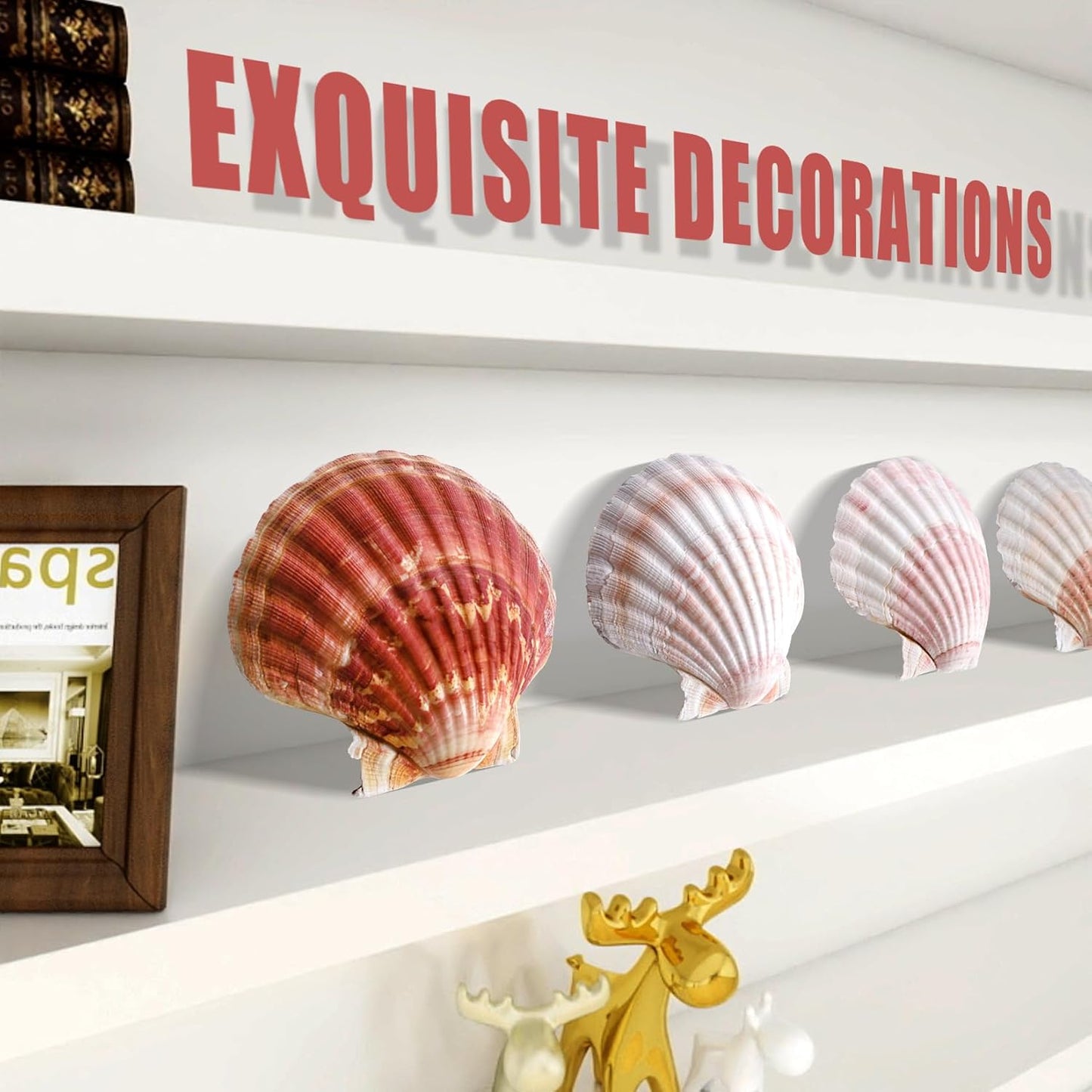 8 PCS 4-4.5 Inch Natural White&Pink Scallop Shells Sea Shells for DIY Craft Home Décor