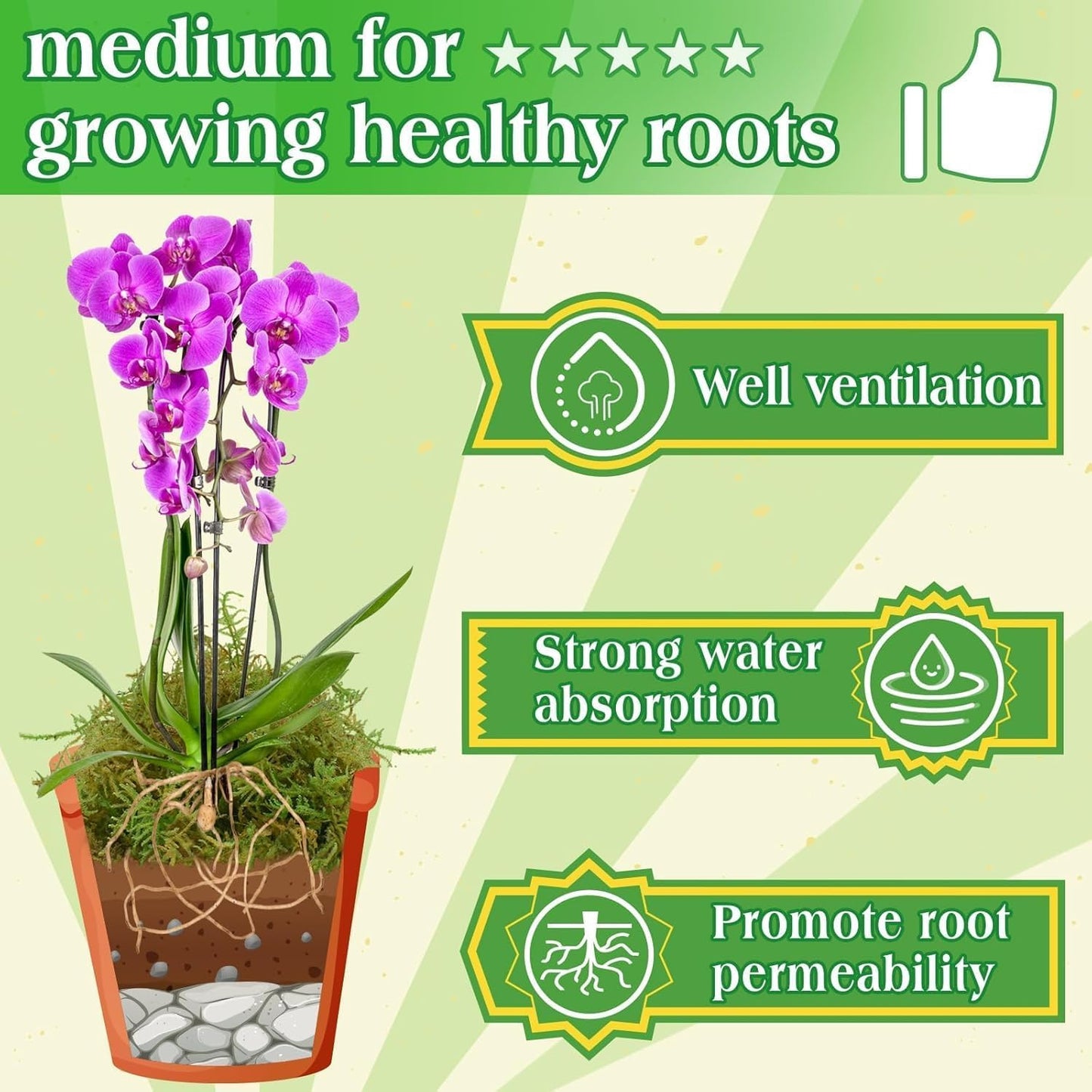 Halatool 2.2LBS Forest Green Moss for Indoor Potted Plants, Orchid Potting Mix, Indoor Potting Plant Moss for Repotting Terrariums Garden Reptiles