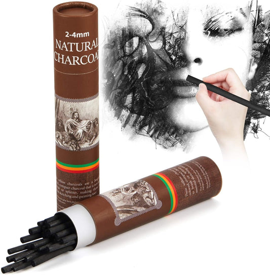 Gueevin 25 Pcs Willow Charcoal Sticks, Willow Charcoal, Artists, Beginners, Students, Perfect for Sketching, Drawing, Shading, and Fine Art Christmas Gifts for Art (2-4mm)