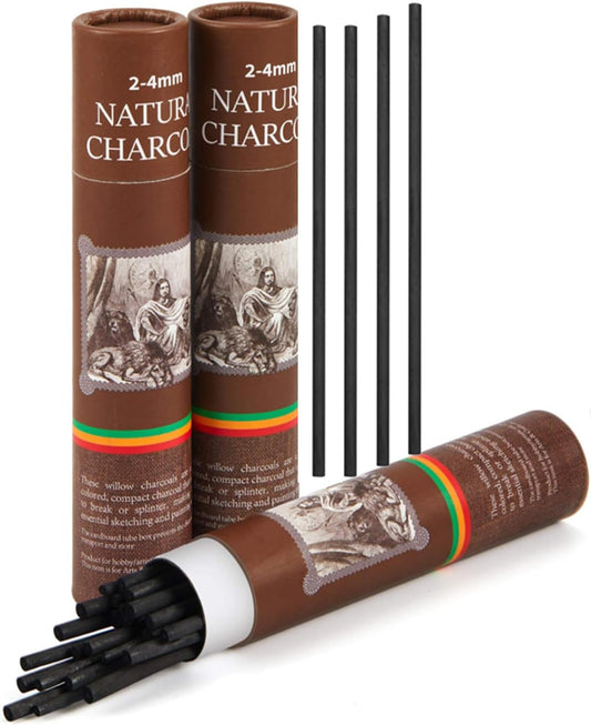 Gueevin 50 Pcs Willow Charcoal Sticks, Willow Charcoal, Artists, Beginners, Students, Perfect for Sketching, Drawing, Shading, and Fine Art Christmas Gifts for Art (2-4mm)