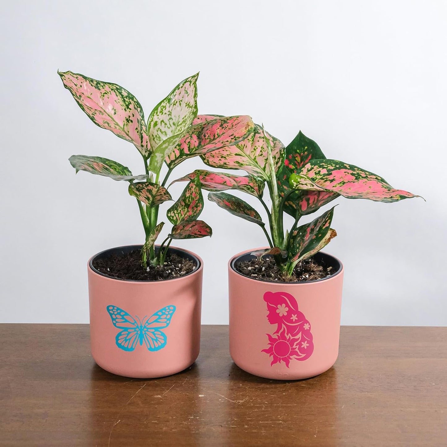 Ant Smart Adhesive Permanent Vinyl Compatible with Cricut Explore and Maker Series Without Cutting Mats, Create DIY Projects, Decals, Stickers & More (Light Blue, 13inch x 5ft)