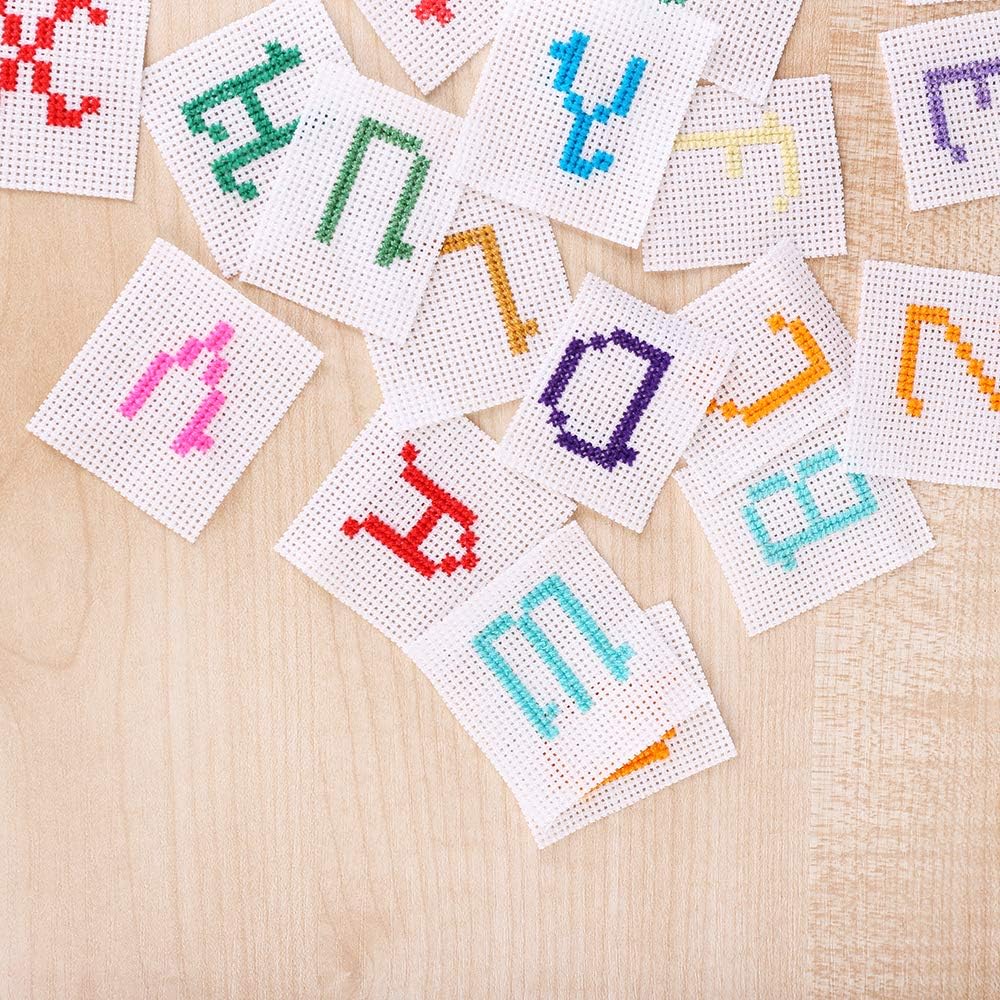 Pllieay 33-Piece Mesh Canvas Kit: 15 Clear Canvas, 12 Colors, Acrylic Yarn & Embroidery Tools for Plastic Craft