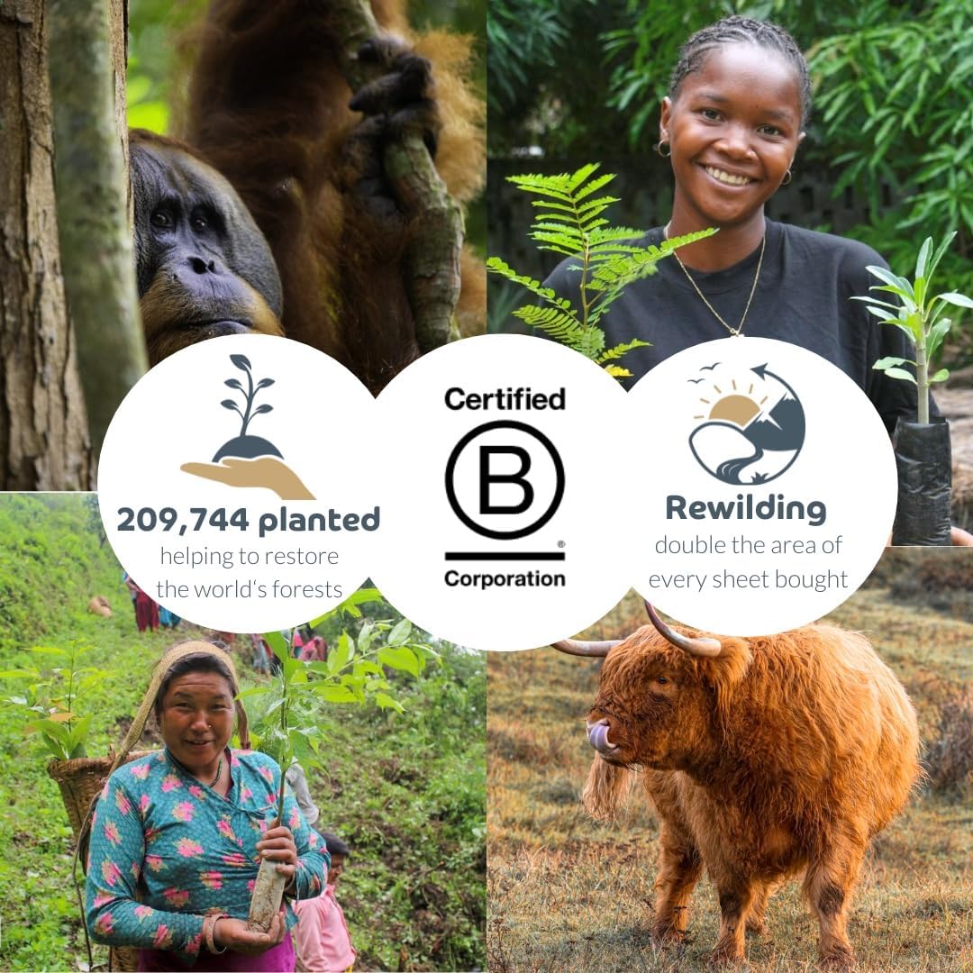 Bumboo Bamboo Toilet Roll 24 Pack | Unbleached Toilet Paper 3 ply, 300 Sheets | Eco Toilet Rolls | Plastic-Free, Soft, Strong & Sustainable Toilet Tissue, Beige