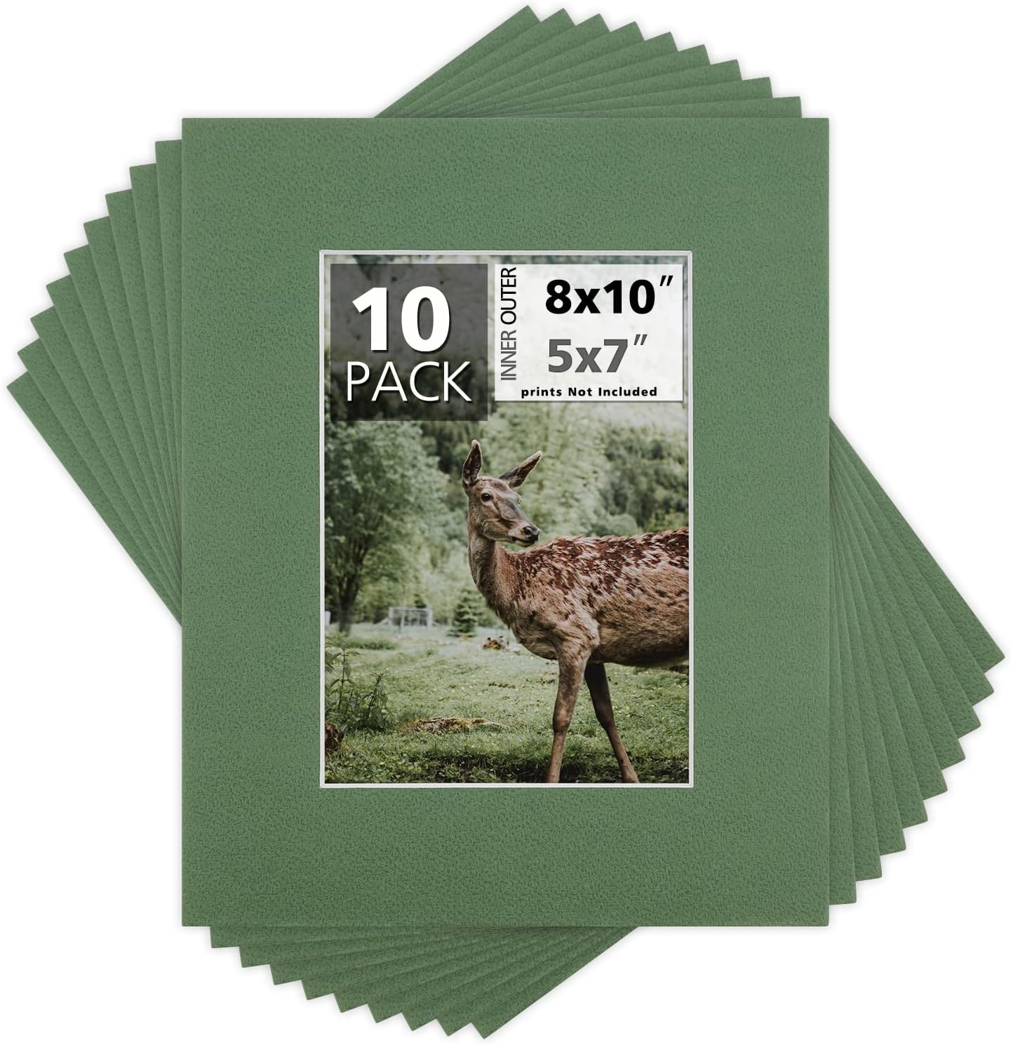 Mat Board Center, Pack of 10, 8x10 for 5x7 Basque Green Color Mats - Bevel Cut, Acid Free, 4-ply Thickness, White Core - for Pictures, Photos, Framing