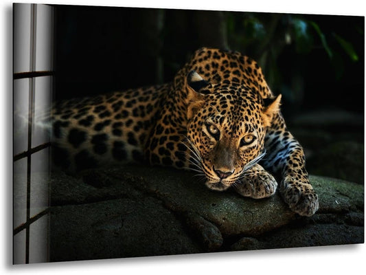 My Photostation.com 28Wx18H'' Fierce Leopard Glass Wall ArtTempered Glass Printing Wall Decor Large Wall Art Wall Hangings