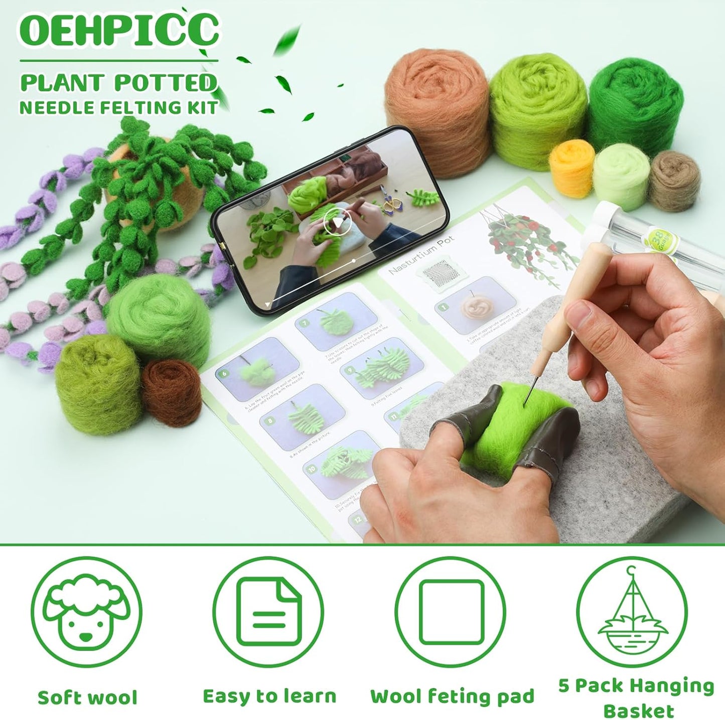 OEHPICC Needle Felting Kit, 5 Pack Hanging Plants Needle Felt Beginner Kit, Including Basic Felting Tools, Instructions, Felt Craft Kit for Indoor Outdoor Office and Home Decor