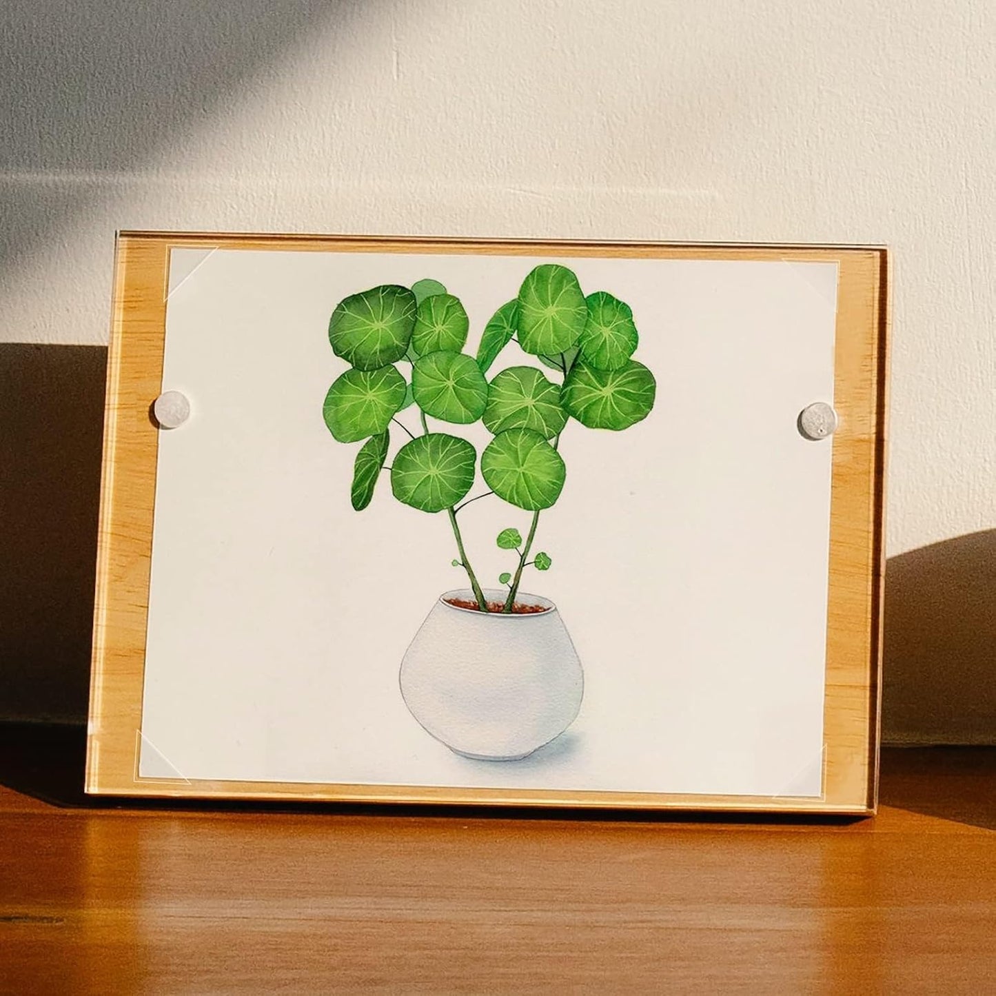 Lineco Infinity 0.625" Clear Acid-Free Archival Photo Corners Self Adhesive, Pressure Sensitive, Non-Yellowing, Mounting for Pictures, Scrapbook, DIY, Displaying Posters (Pack of 500)