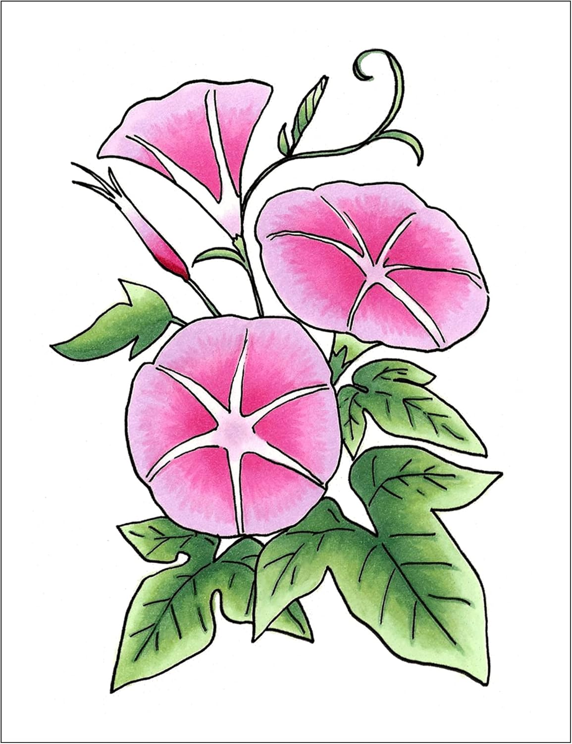 Copic Sketch, Alcohol-based Markers, 3pc Set, Color Fusion #2, Pink