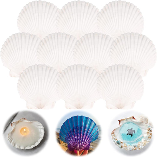10PCS Scallop Shells for Crafts 4''-5'' Natural White Large Shells Decoration for DIY Craft Painting, Home Decor, Baking and Beach, Wedding Party Decoration