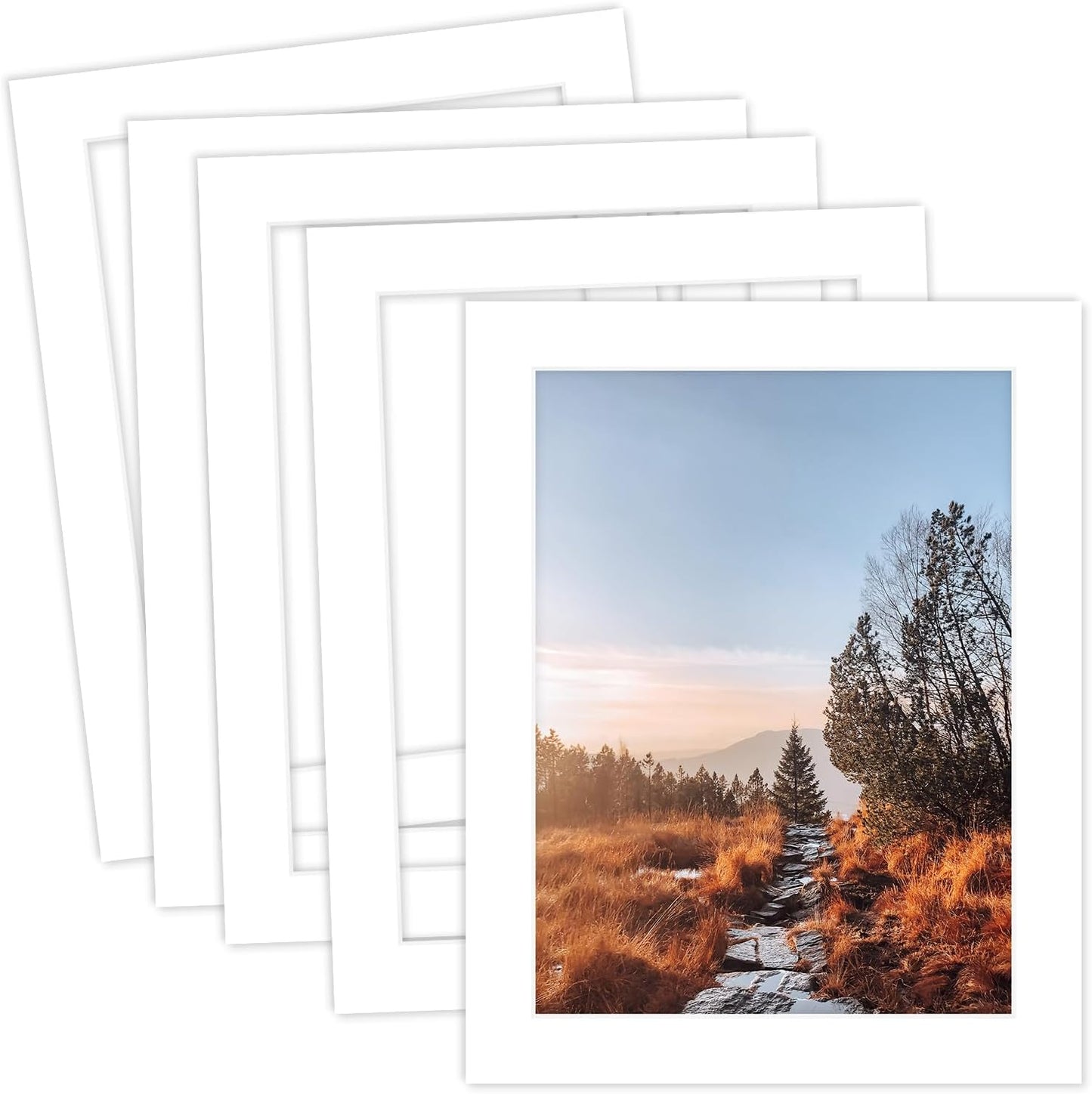 MBC Mat Board Center, 5 Pack 11X14 for 9X12 White Picture Mats Frame Mattes, Bevel Cut, Acid Free, 4-Ply Thickness