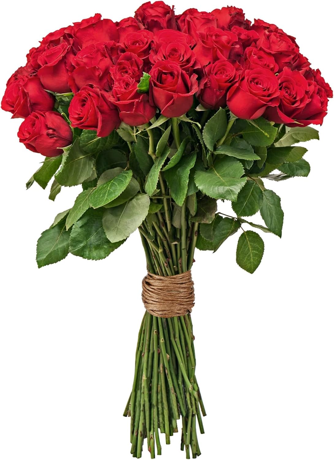 Syhood Floral Vine Bind Wire Rustic Wrapping Wire for Flower Bouquets(Light Coffee)