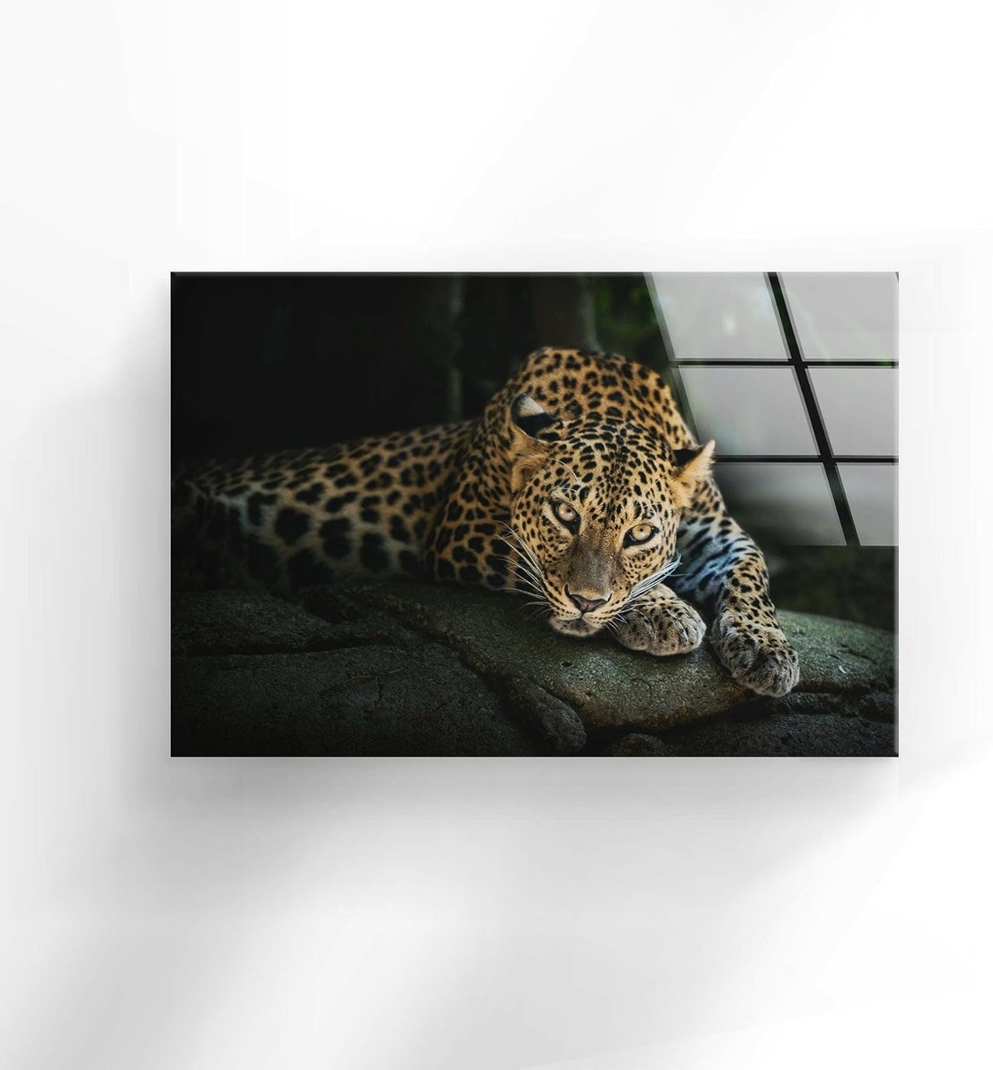 My Photostation.com 28Wx18H'' Fierce Leopard Glass Wall ArtTempered Glass Printing Wall Decor Large Wall Art Wall Hangings
