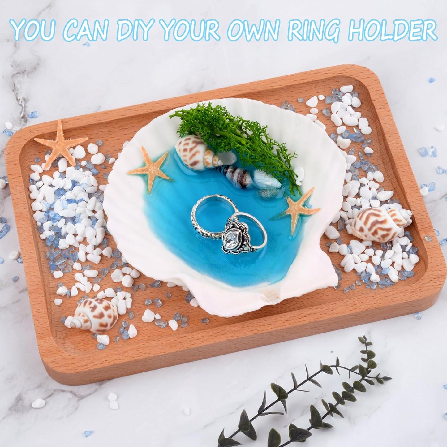 6PCS Scallop Shells for Crafts 4''-5'' Natural White Large Shells Decoration for DIY Craft Painting, Home Decor, Baking and Beach, Wedding Party Decoration