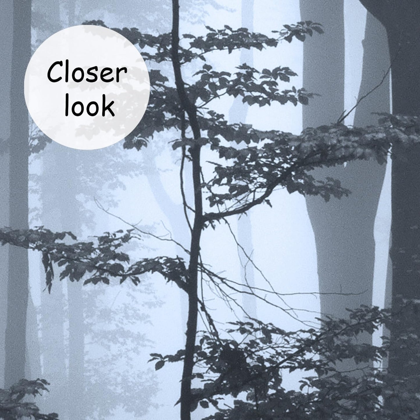 AFZEVEB-Foggy Dark Forest Wallpaper Landscape Tree Wall murals for Bedroom 159"x107"(Not Peel and Stick)