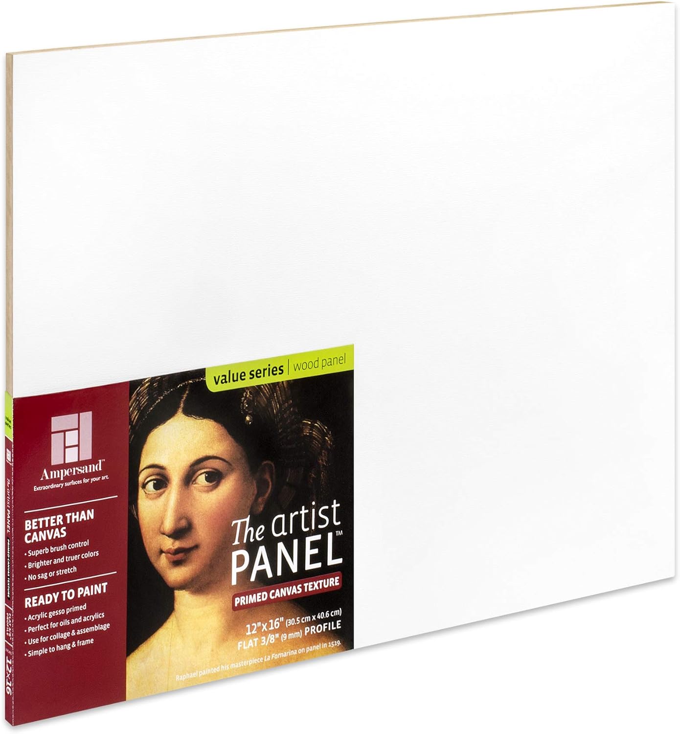 Ampersand Art Supply Wood Gesso Art Painting Panel: Canvas Texture, 3/8 Inch Depth, 12" x 16"