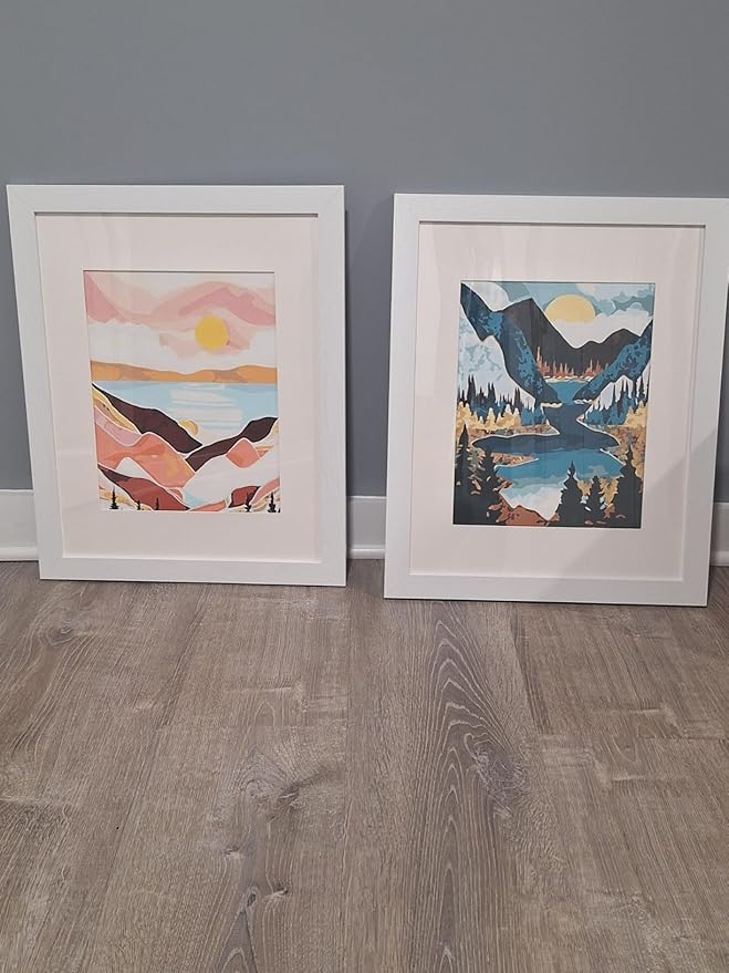 BAISITE Paint by Numbers Kit for Adults Beginners,8" Wx12 L 2 Pack Canvas for Painting Kits for Adults in Colorful Box 1112-ALREADY Framed