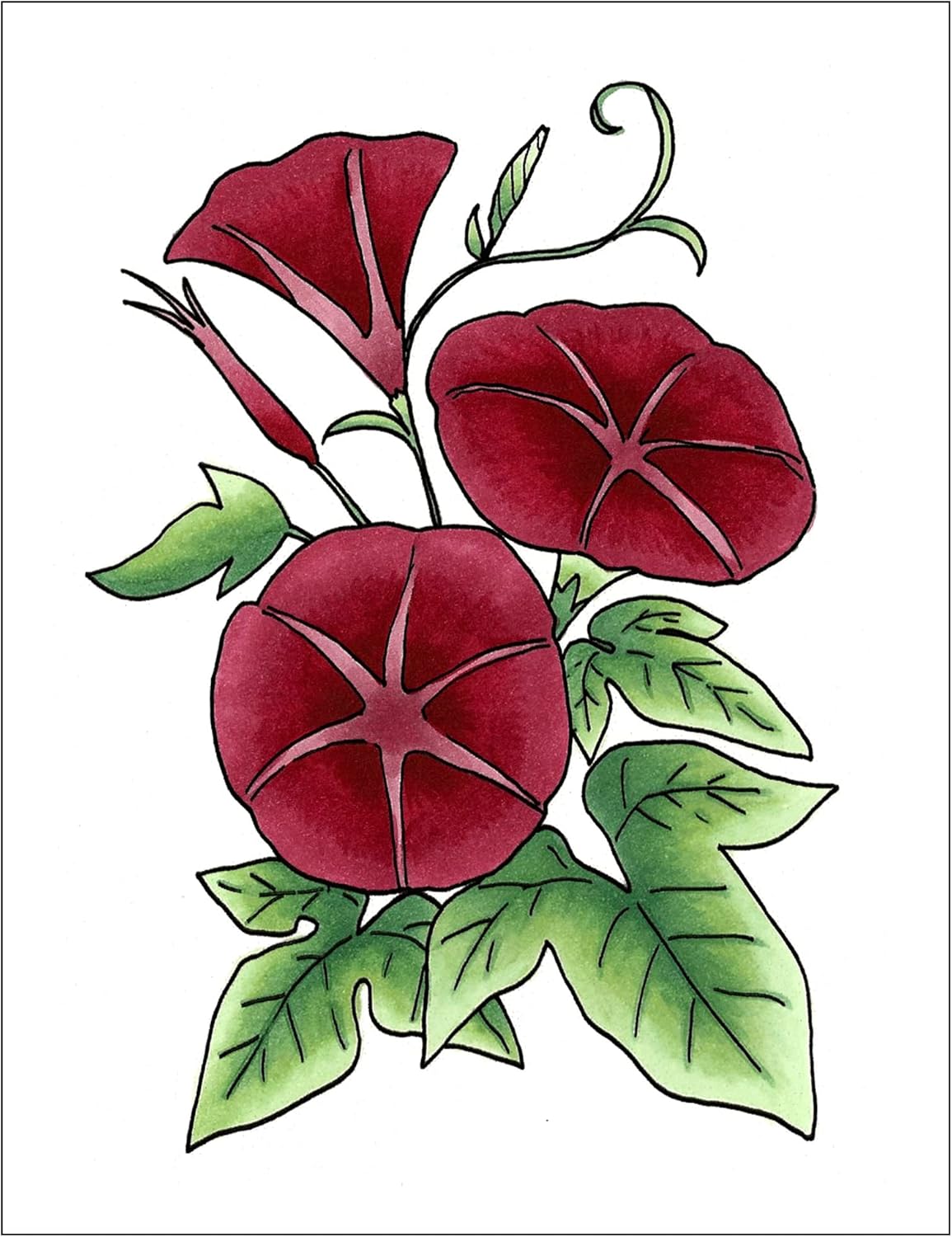 Copic Marker Sketch Color Fusion Markers, CSCF 3, 3-Pack, Red