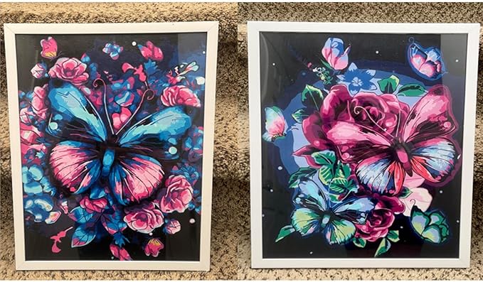 BAISITE Paint by Numbers Kit for Adults Beginners,12" Wx16 L 2 Pack Canvas for Painting Kits for Adults in Colorful Box 5152 Already Framed