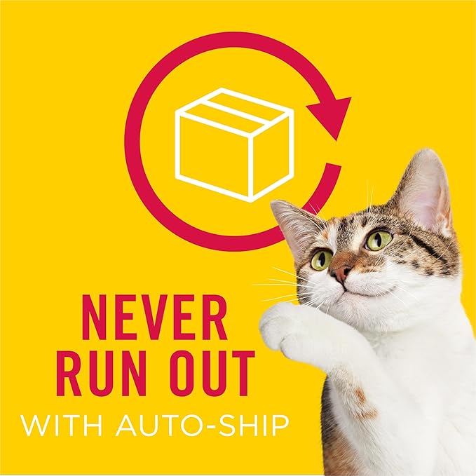 Friskies Purina Cat Treats, Party Mix Original Crunch - 20 oz. Pouch (Pack of 2)