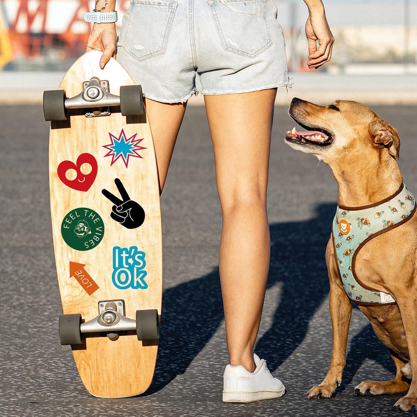 Ant Smart Adhesive Permanent Vinyl Compatible with Cricut Explore and Maker Series Without Cutting Mats, Create DIY Projects, Decals, Stickers & More (Matte Black, 13inchx15ft)