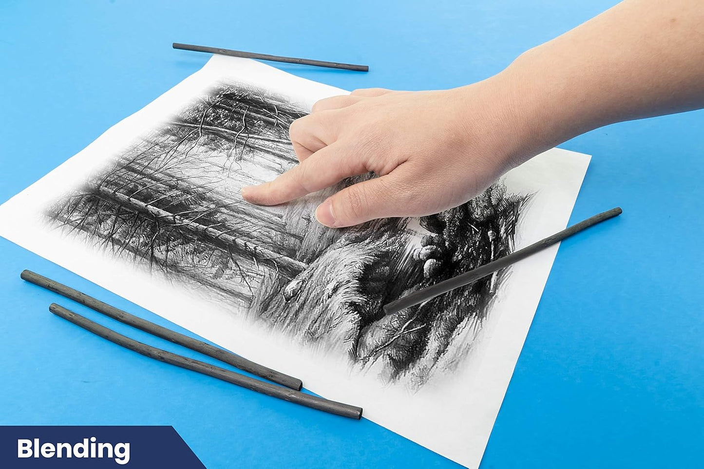 Pacific Arc 2 Pack Artist Vine Charcoal, Medium, Black 4 Charcoal Sticks for Drawing, Sketching, and Fine Art …