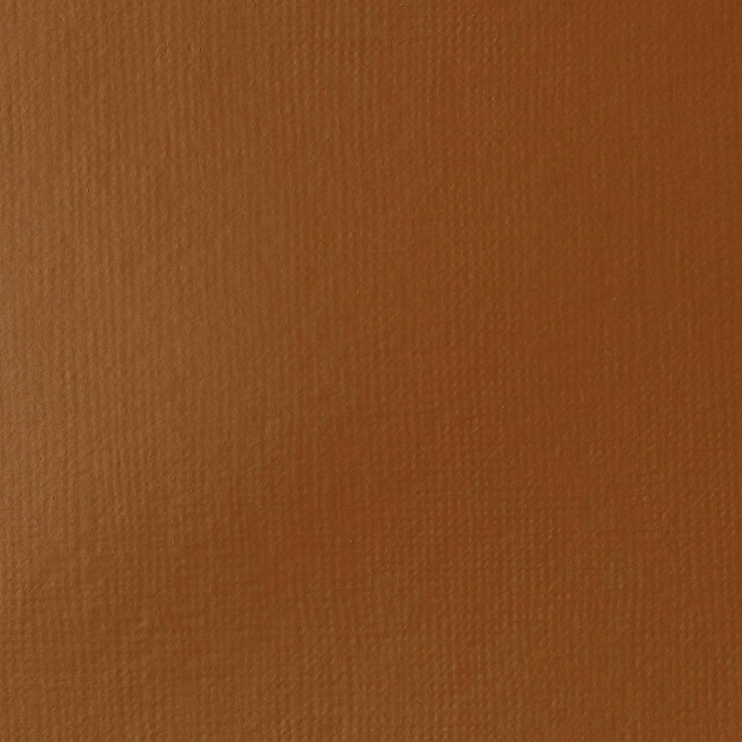 Liquitex BASICS Acrylic Paint, 250ml (8.5-oz) Tube, Raw Sienna