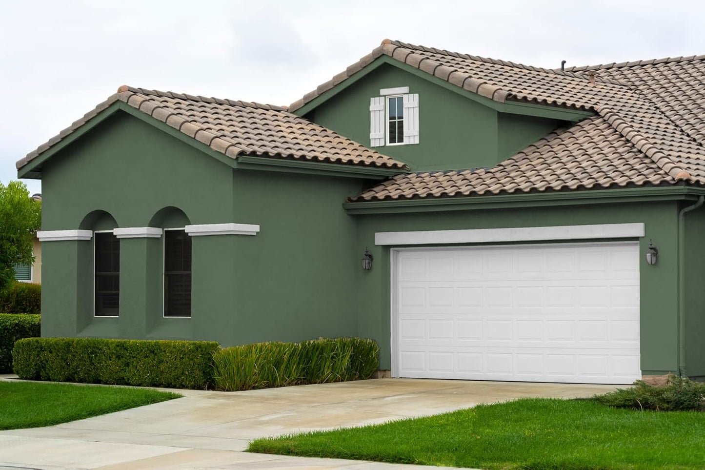 EVOLVE Paint & Primer: Environment-friendly, Eggshell with One-coat Coverage for Interior & Exterior surfaces (Ivy Green, 1-Gallon)