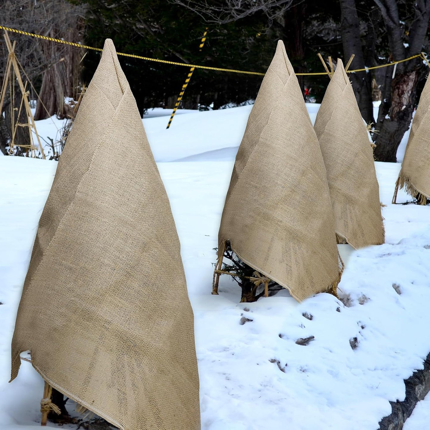 Garden Burlap Roll, 60" x 100 Feet Natural Jute Burlap Fabric Roll for Gardening Raised Bed Liners,Seed Cover,Edging,Weed Barrier,Aisle Runner Plant Cover Tree Protections (60" x 100 Feet)