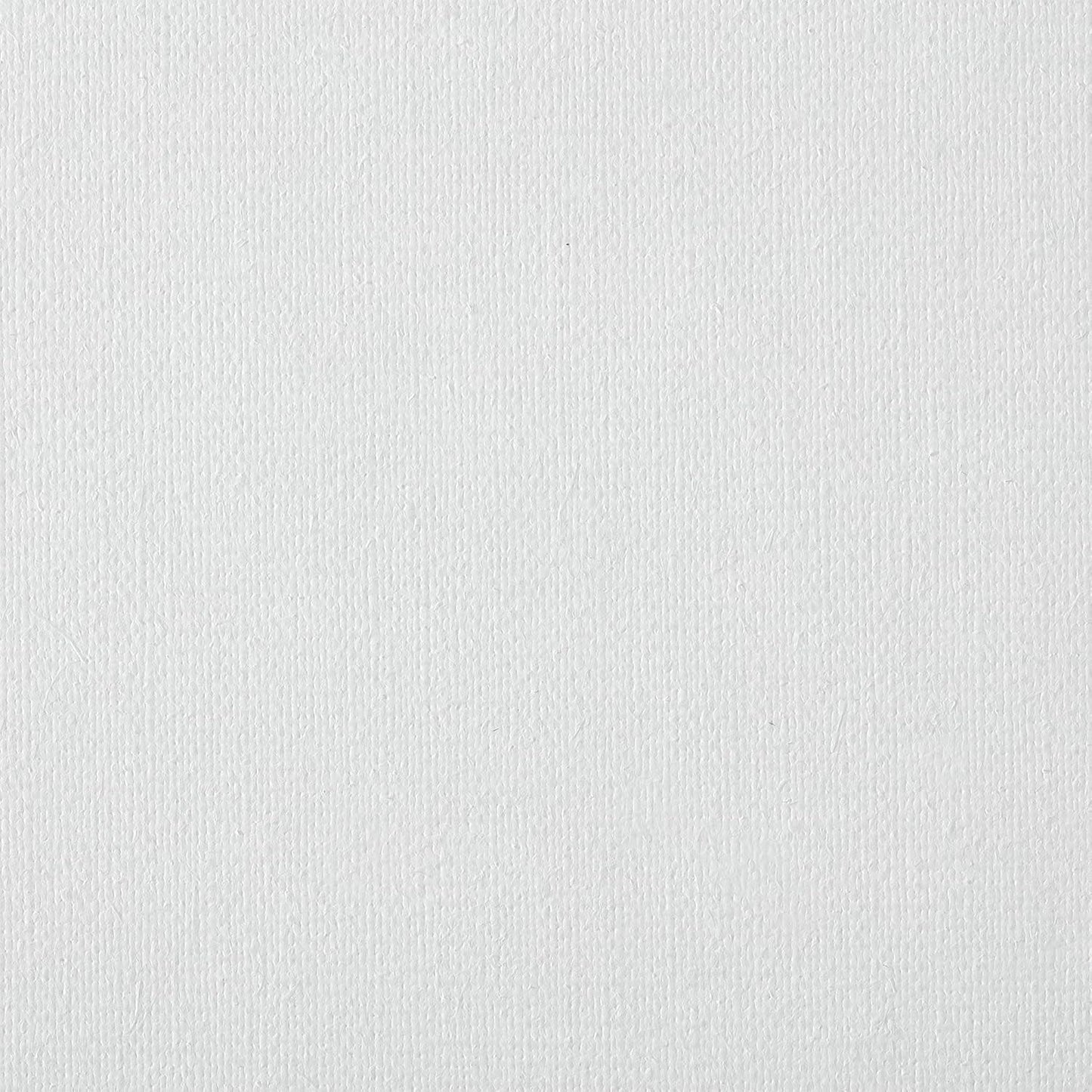 Centurion Deluxe Professional Oil Primed Linen Stretched Canvas, 11oz Linen, 14x18 - Box of 6, 0.67" Deep Canvases, Kiln-Dried Stretchers, Back Stapled, Premium Medium Weight Canvas for Oil Paintings