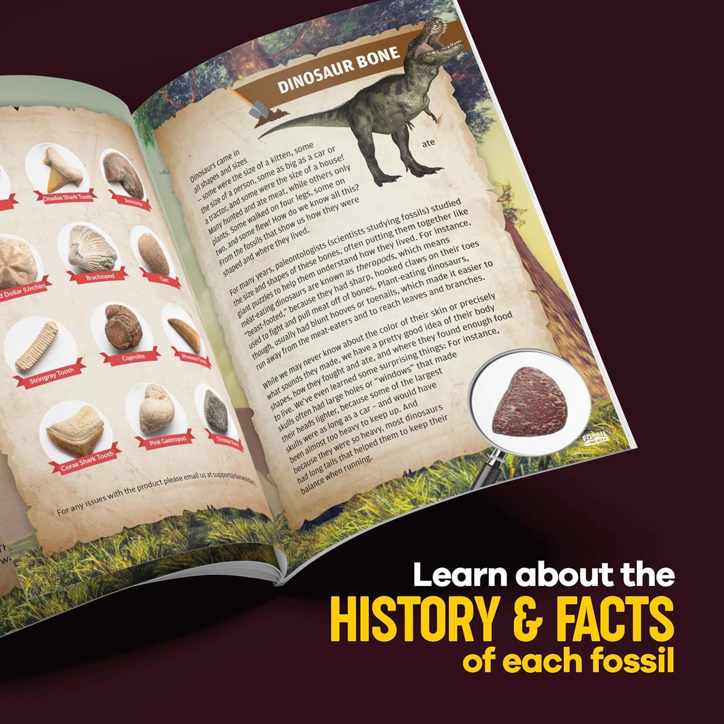 Dan&Darci Real Fossil Dig Kit for Kids - Science Kits for Boys & Girls Age 8-12 - Birthday Gift Ideas for 8, 9, 10, 11, 12 Year Old Boy or Girl - Fossils Digging STEM Toys for Ages 8-13