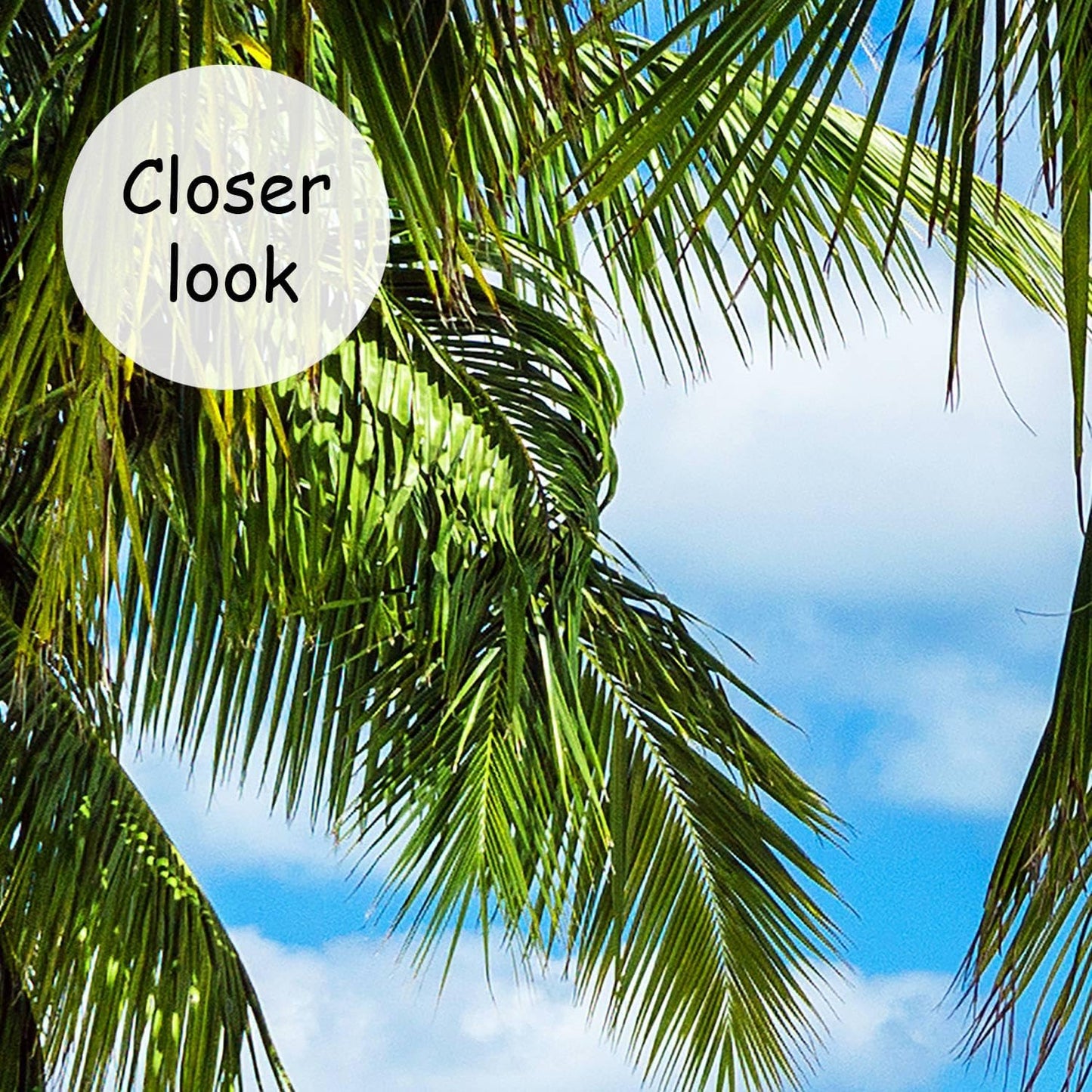 AFZEVEB-Beach Wall Mural Tropical Palm Tree Landscape Wallpaper for Bedroom 159"x107"(Not Peel and Stick)