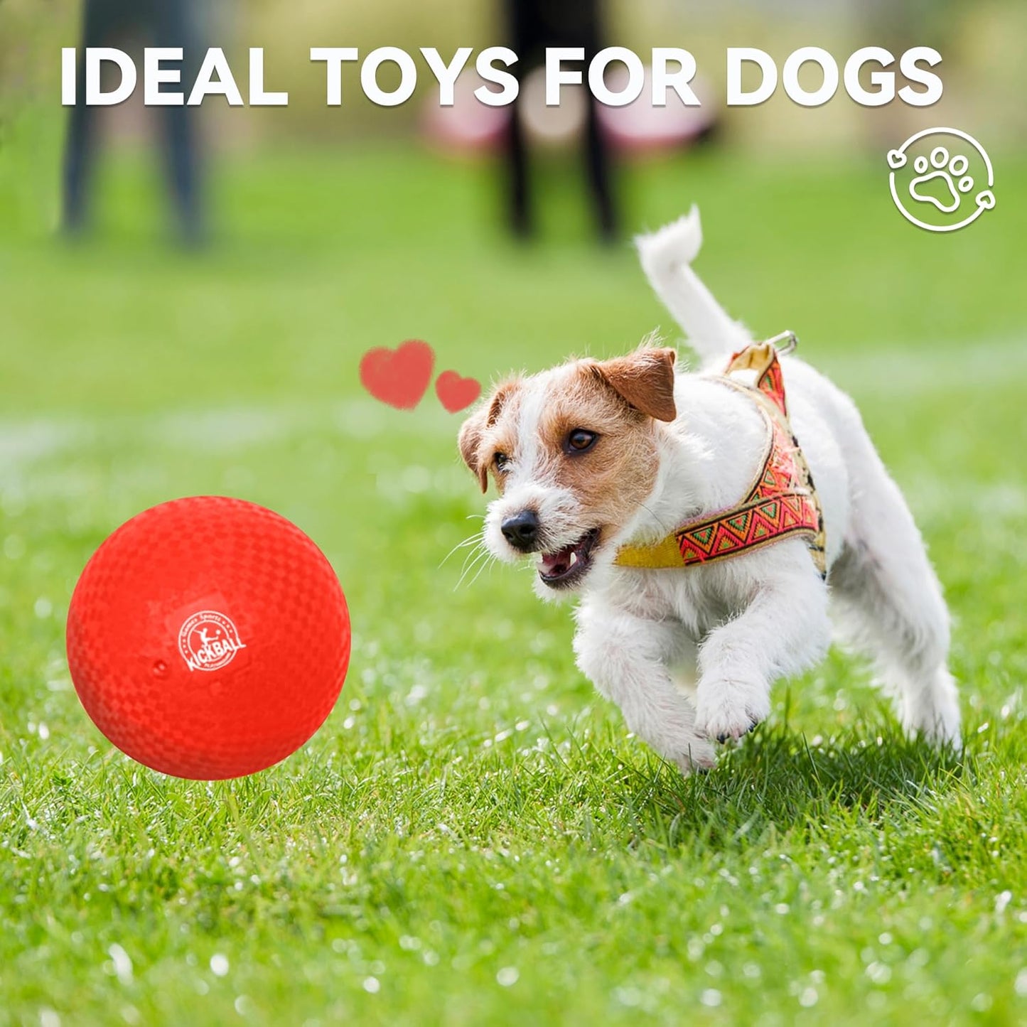 8.5 Inch Kickball Set, Dodgeballs 6 Pack,12 Pack,Playground Balls for Kids&Adults, Bouncy Balls Includes Pump and Storage Bag, Handball for Outdoor & Indoor Games, Boys and Girls Gift with Gift Box