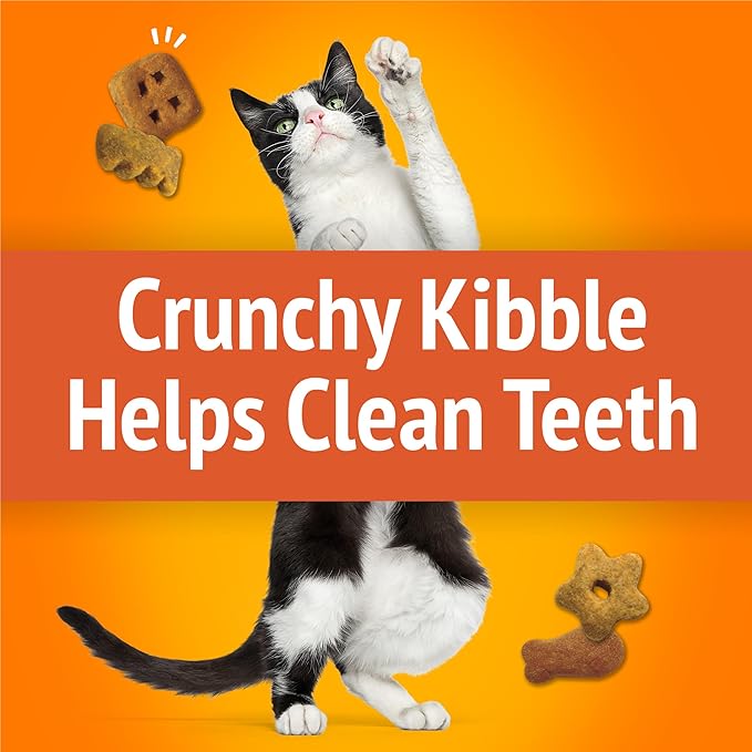 Friskies Purina Cat Treats, Party Mix Original Crunch - 20 oz. Pouch (Pack of 2)