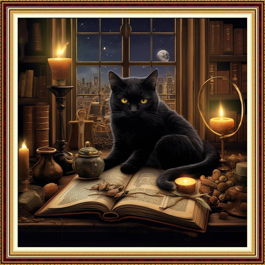 Funchey Stamped Cross Stitch Kits, DIY Cross Stitch Pattern for Adults Beginners Needlepoint Kits Embroidery Kit Arts and Crafts 11CT-Black Cat Book 18x18 inch