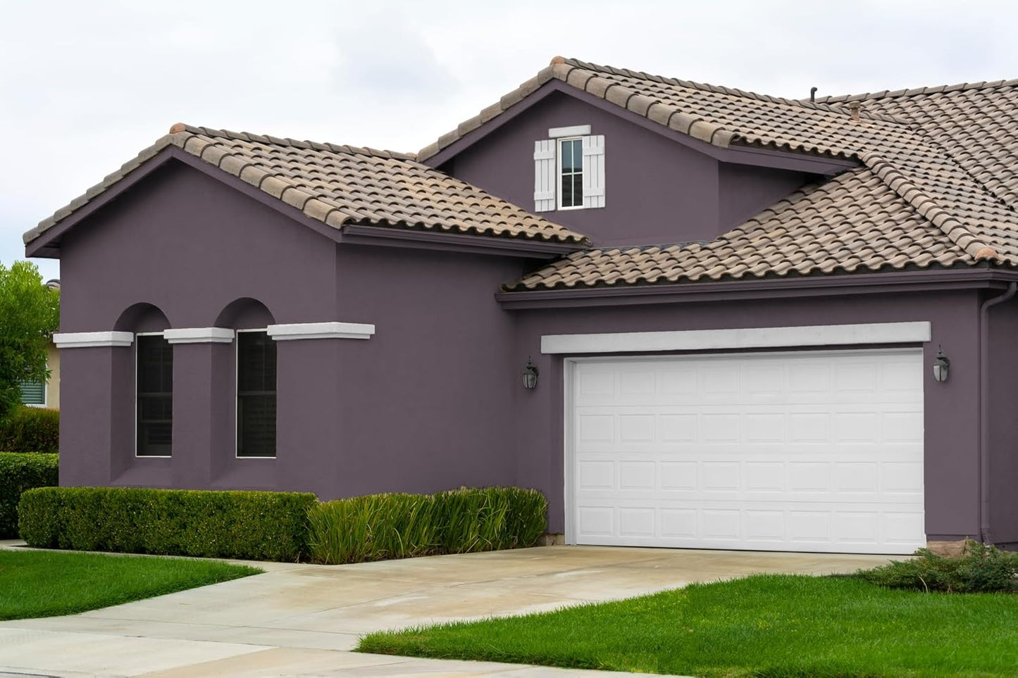 EVOLVE Paint & Primer: Environment-friendly, Low Sheen with One-coat Coverage for Interior & Exterior surfaces (Gentle Plum, 1-Gallon)