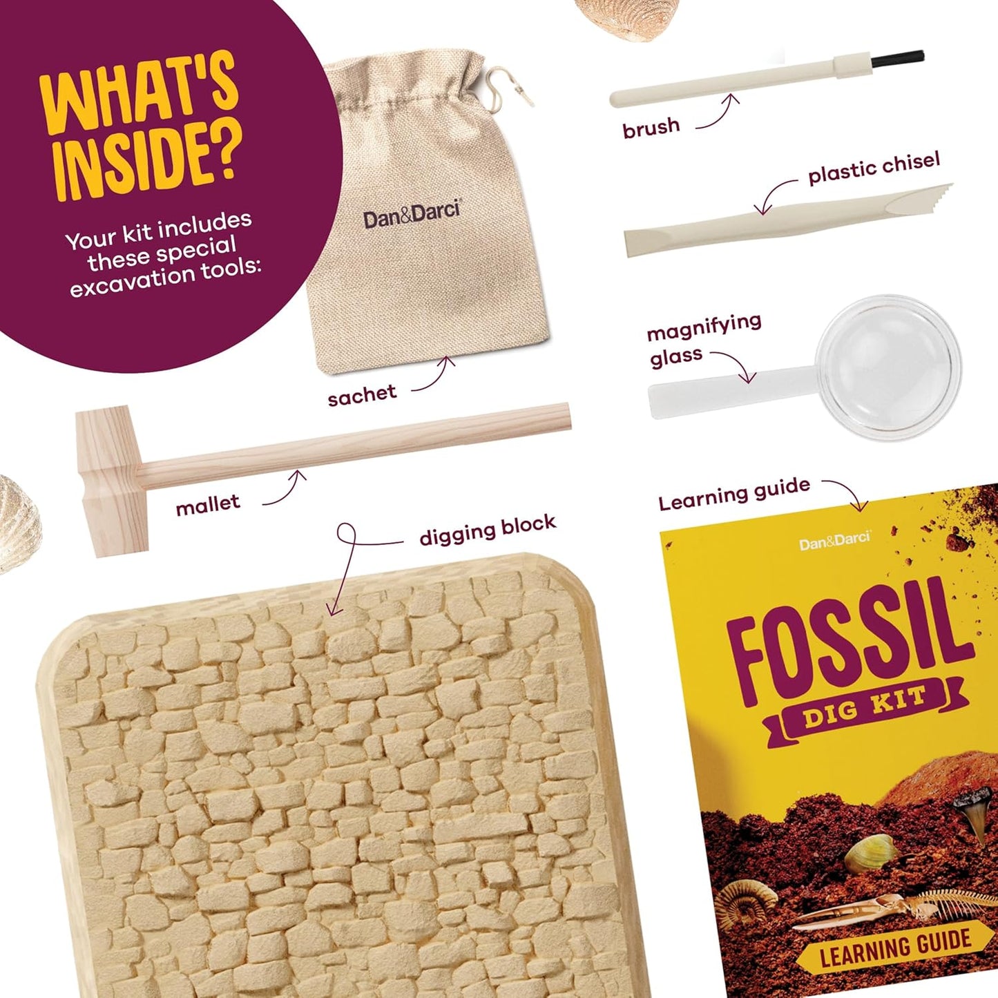Dan&Darci Real Fossil Dig Kit for Kids - Science Kits for Boys & Girls Age 8-12 - Birthday Gift Ideas for 8, 9, 10, 11, 12 Year Old Boy or Girl - Fossils Digging STEM Toys for Ages 8-13