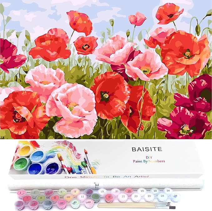 BAISITE Paint by Numbers Kit for Adults Beginners,20" Wx16 L Canvas for Painting Kits for Adults in Colorful Box Poppy Flowers-BSC001