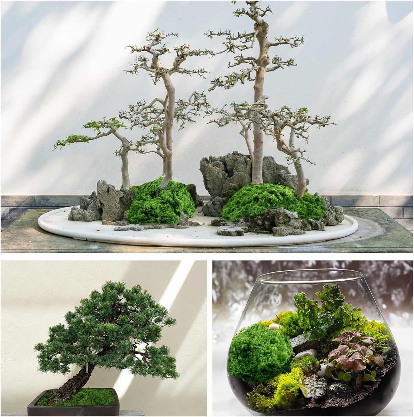 Draupnir Fake Green Moss for Potted Plants, 10.6OZ Fake Moss for Plants Indoor,Faux Moss for Crafts Artificial Moss Decor, DIY Decorative Moss for Fairy Garden Glass Containers Wedding (300g)