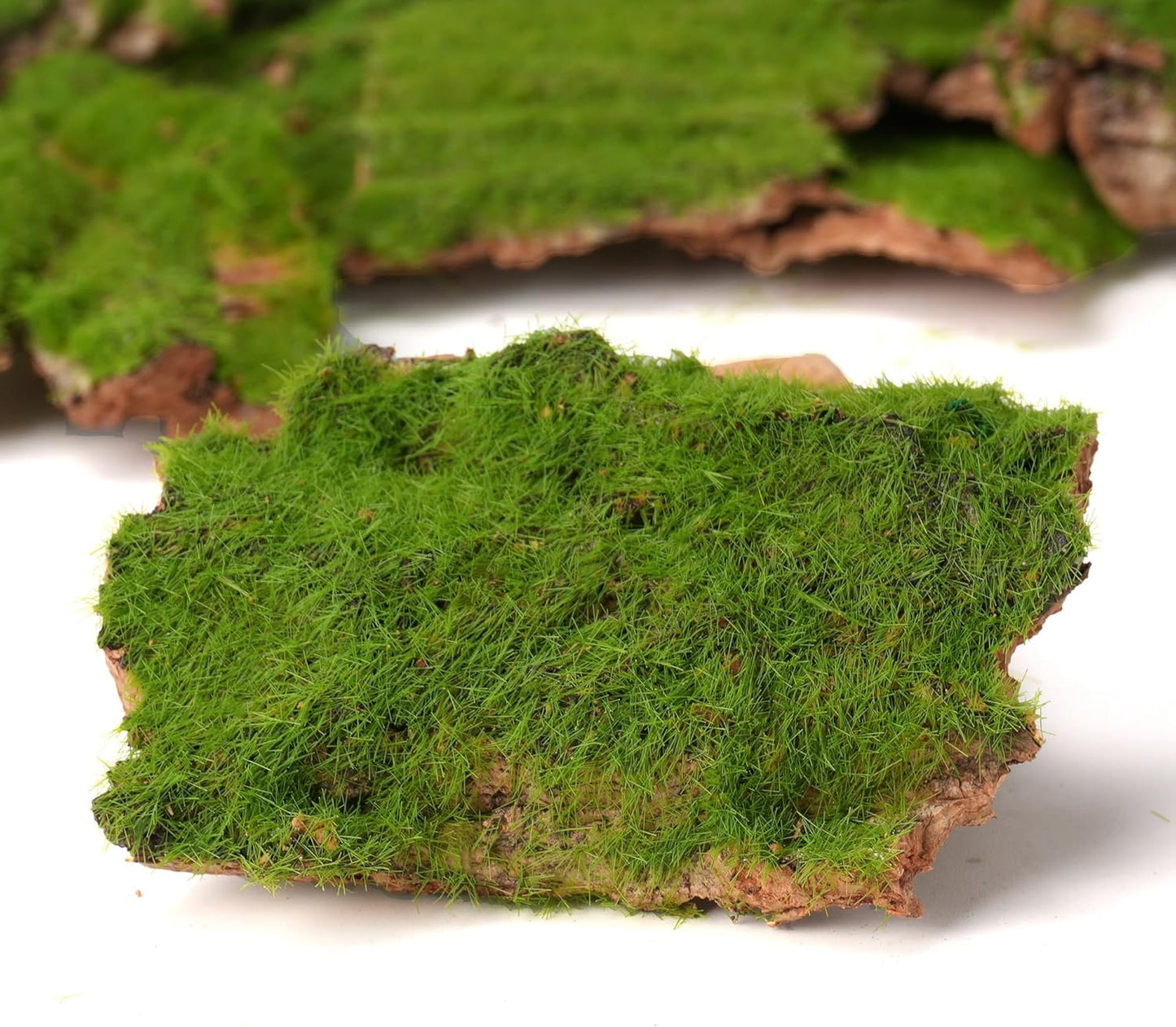 BYHER Assorted Artificial Moss Bark, Decorative Mossy Tree Bark for DIY Crafts, Fairy Gardens, Terrariums, Floral Arrangements (Realistic Green - 100gr)