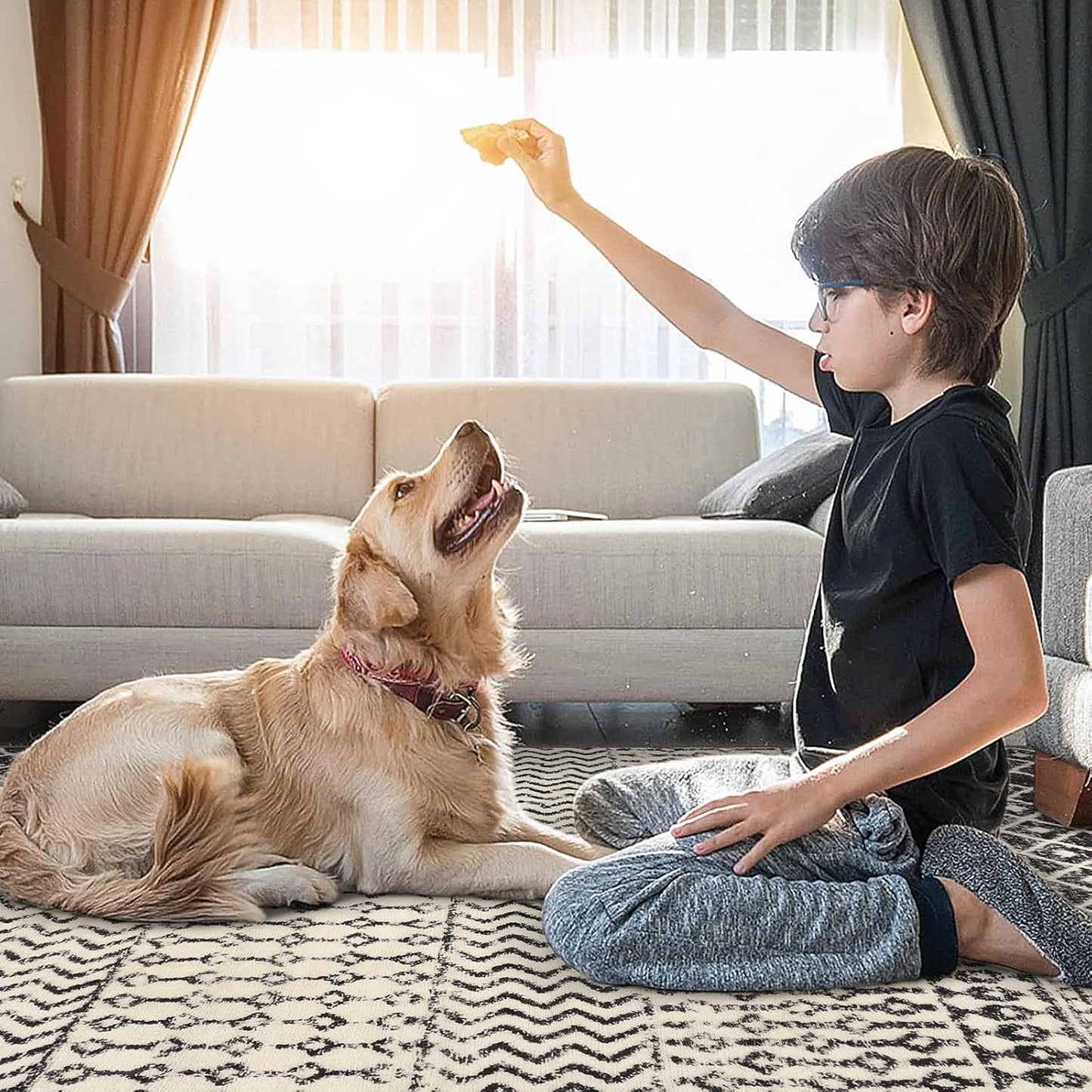 3x5 Rug for Living Room, Ultra Soft Non Slip Moroccan Washable Rug, Distressed Entryway Rugs, Low-Pile Throw Carpet Black Rugs for Bedroom Kitchen Living Room Dinning Room