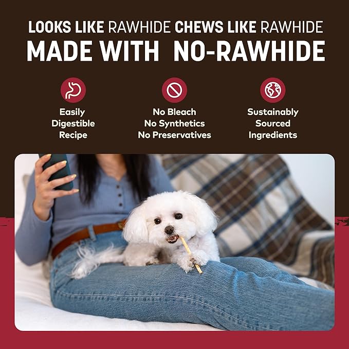 Earth Animal No Hide Stix - Long Lasting Rawhide Free Small Dog Chews Sticks, Beef - 20 Count Value Pack