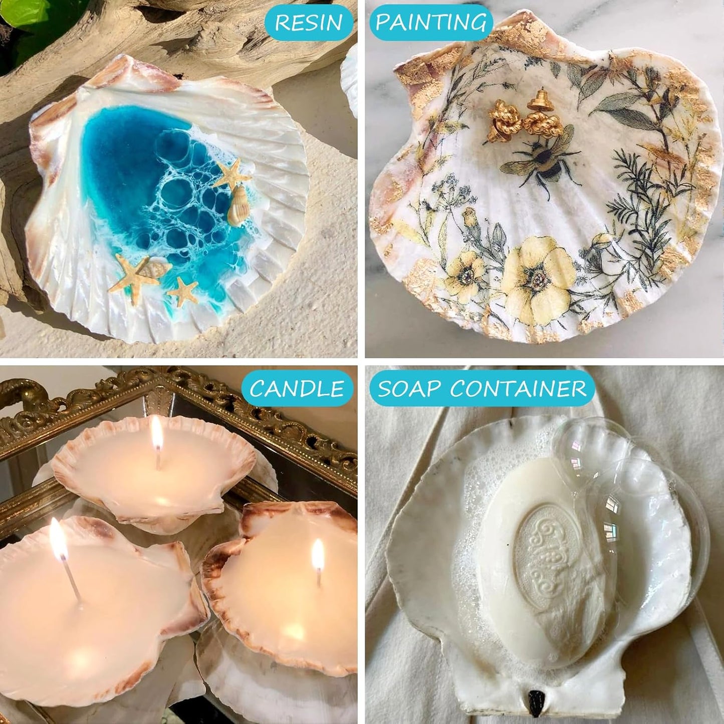 10PCS Scallop Shells for Crafts 4''-5'' Natural White Large Shells Decoration for DIY Craft Painting, Home Decor, Baking and Beach, Wedding Party Decoration