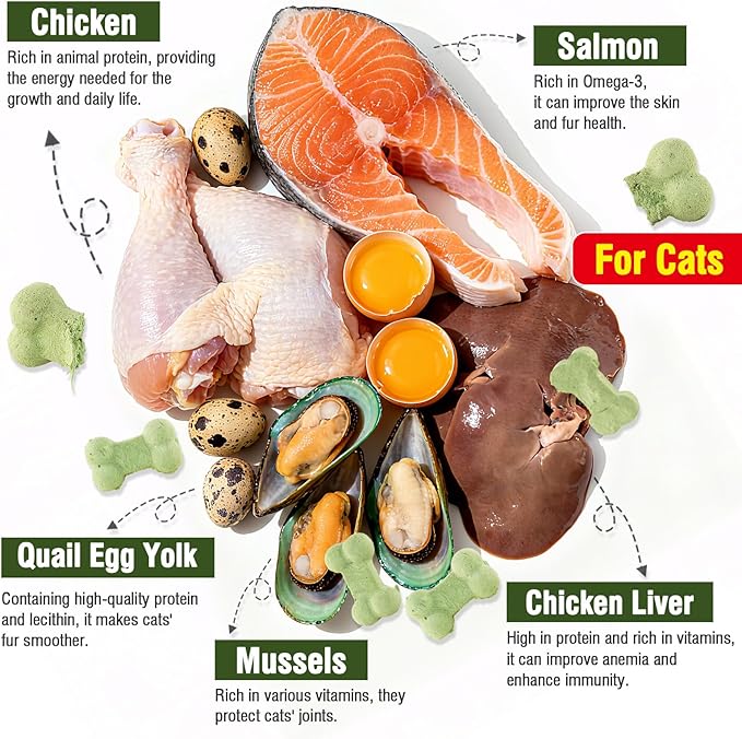 Freeze Dried Cat Chicken Salmon Treats All Natural Healthy Chewy Food Feline Bone-Shaped Snacks