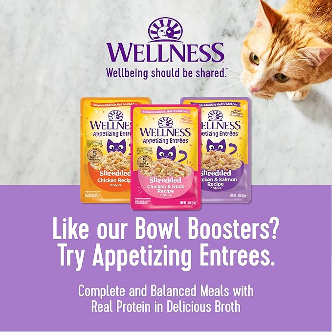 Wellness Bowl Boosters Wet Cat Food Topper, Grain Free, Natural, Flaked Salmon & Tuna Recipe in Broth, 1.75 Ounce Pouch (Pack of 12)
