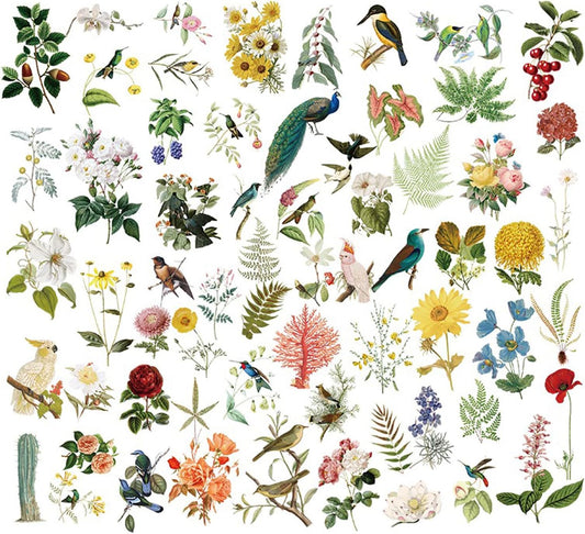 Vintage Vellum Stickers Floral Plants Elements Scrapbooking Supplies Flowers Botanic Natural Translucent Paper Self-Adhesive Junk-Journal Items (Bird Patterns)