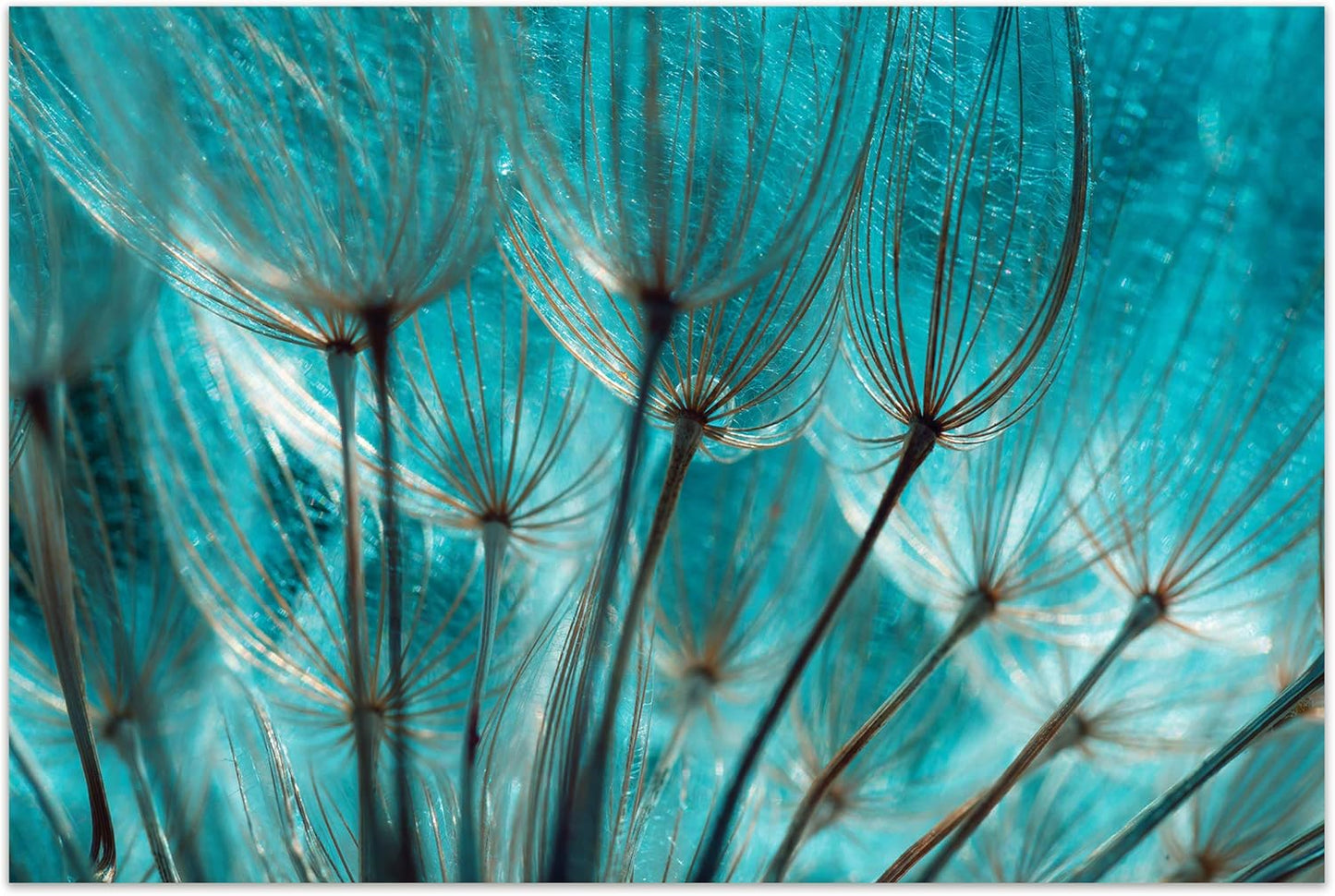 Empire Art Direct Frameless Free Floating Tempered Glass Panel Graphic Wall Art Ready to Hang, 32" x 48", Turquoise Dandelion