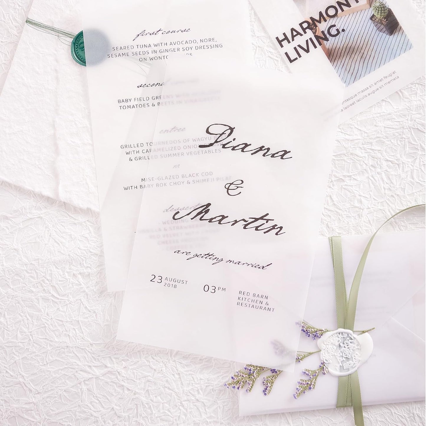 70 Sheets Transparent Vellum Paper - 8.5 x 11in 100GSM Translucent Matte Art Paper for DIY Printing Drawing Invitations Greeting Cards Decor Gift Wrapping PAP02TP