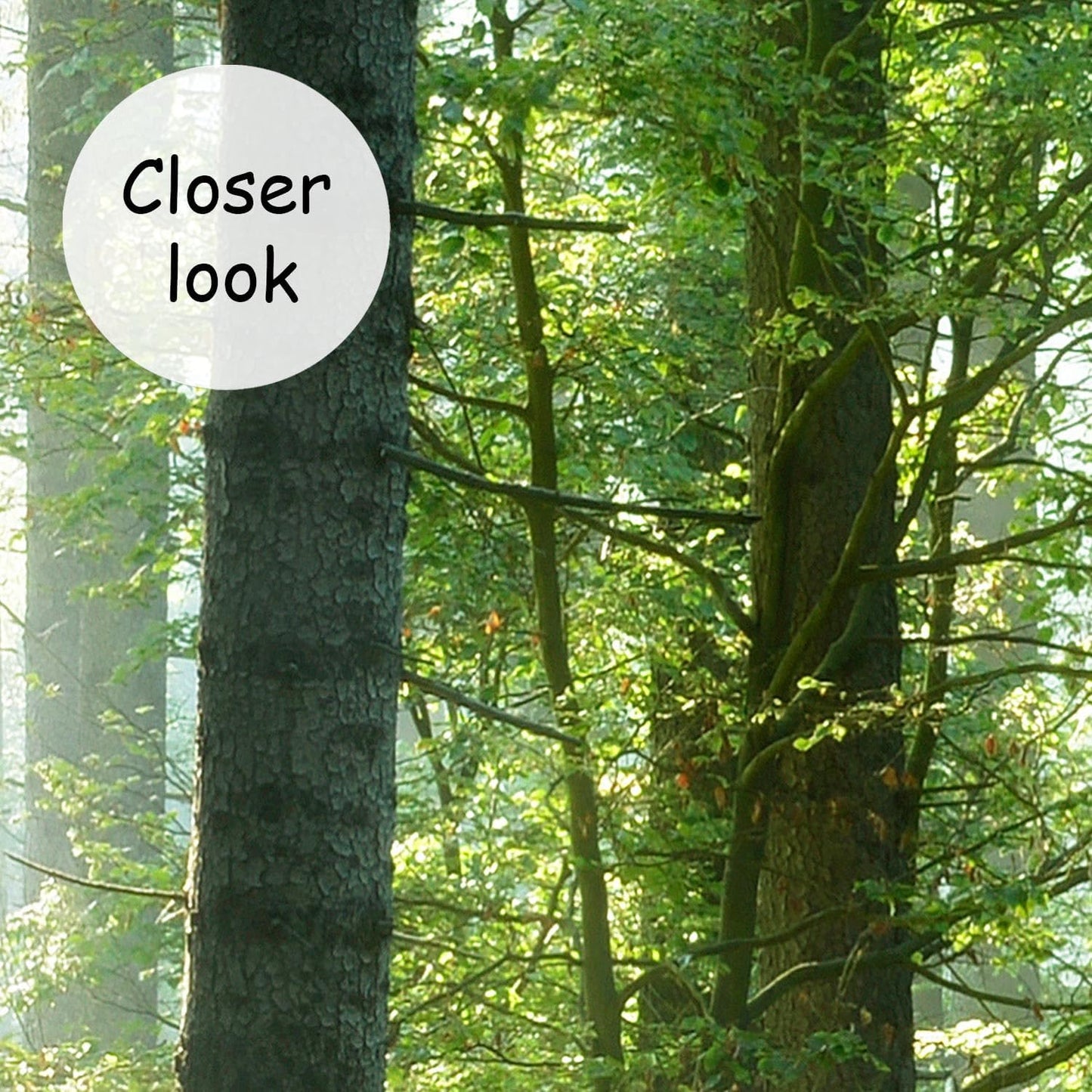 AFZEVEB-Green Forest Wallpaper Natural Landscape Wall murals for Bedroom 114"x74"(Not Peel and Stick)