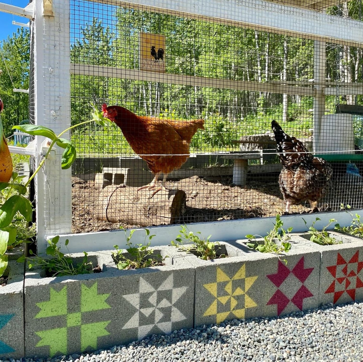 Barn Quilt Stencils for Crafts Reusable 12” Quilt Block Stencil Drawing Templates for Painting on Wood Wall Canvas Fabric